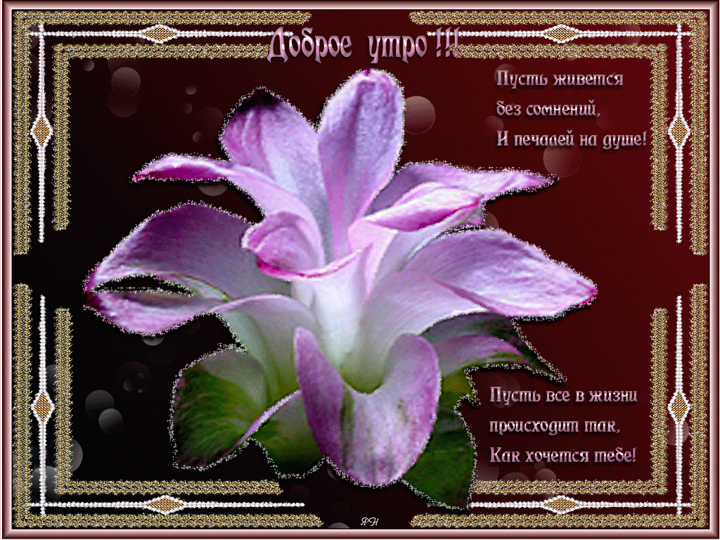 �������� �������� � ������ ����� �������� �� �������