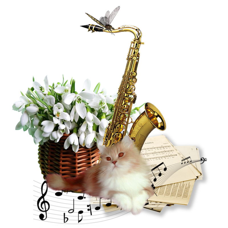 Открытка (плейкаст) "Весна!И хочется Весь Мир обнять...Согреть теплом души.