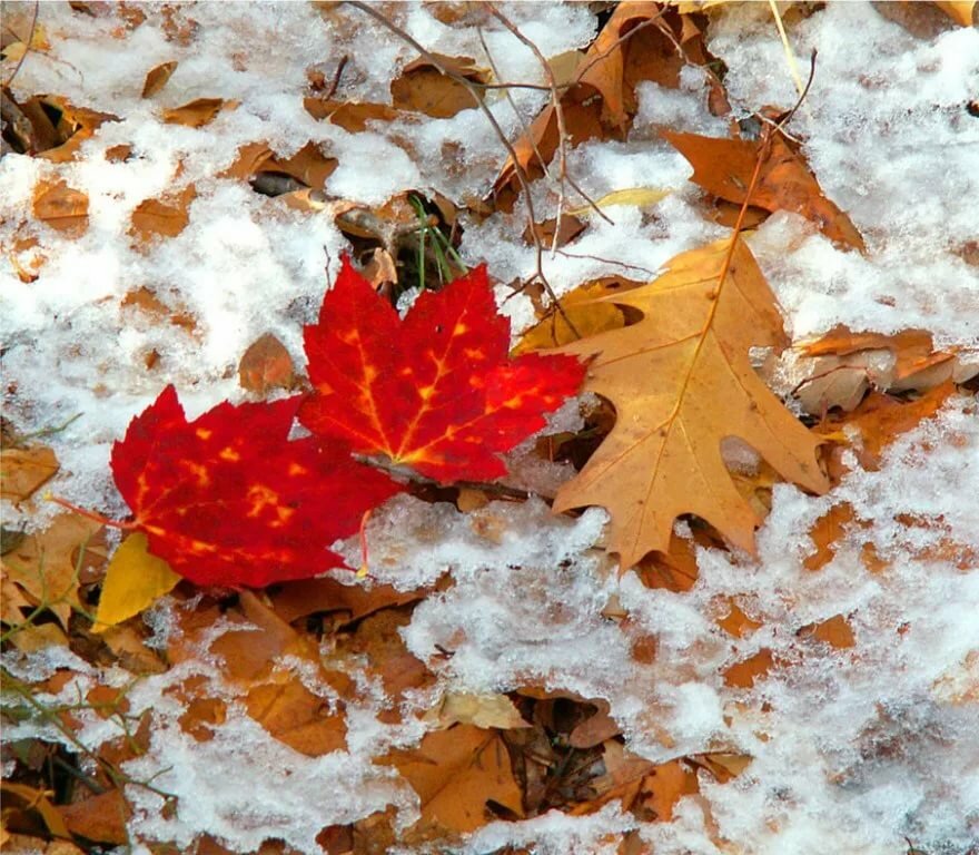 �������� ����� �����, �������� ���� �����