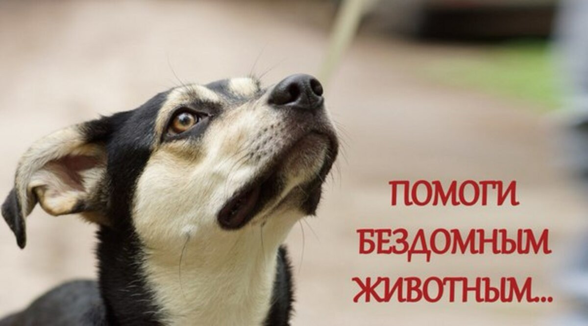 �������� ���� ���������� ��������� �������� ������� ���