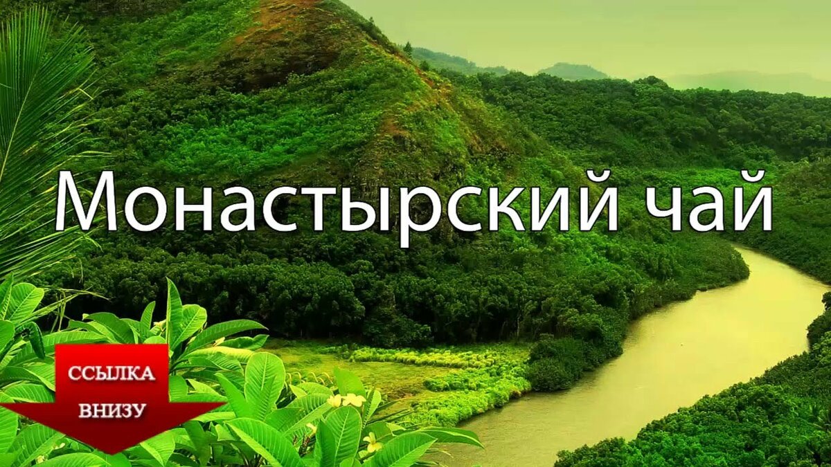 монастырский чай фото