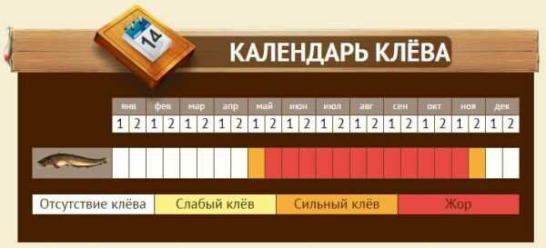 календарь клева фото