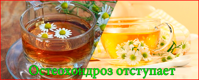 отвар из ромашки фото