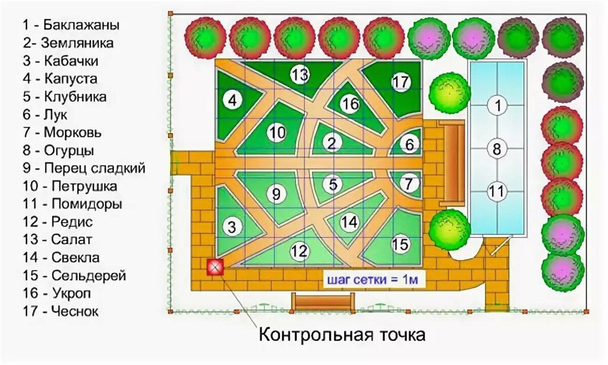 план посадки овощей на огороде схемы