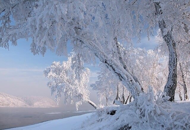 пейзаж зимний фото