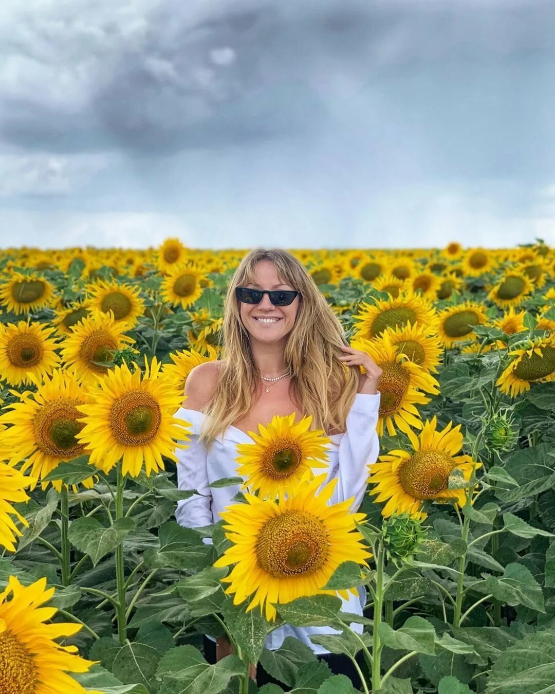 ����� ���������� ���� ���������