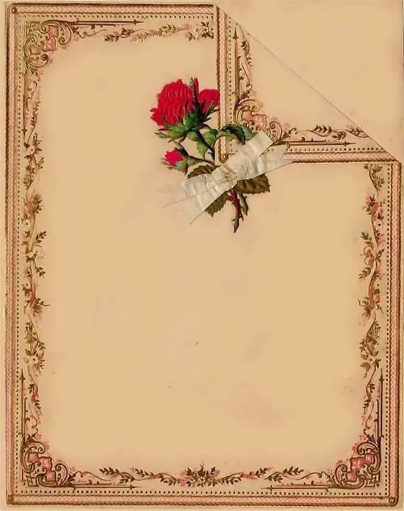 ��������������� �������� ���� ��������