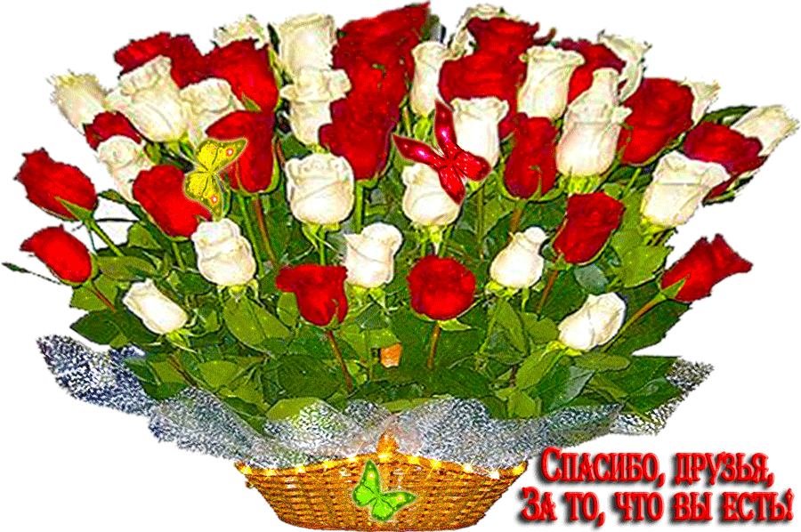 ���� � �������� ������� ������, �������� ��������