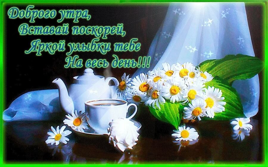 �������� � �������� � ������ ����� � �������� � ��������