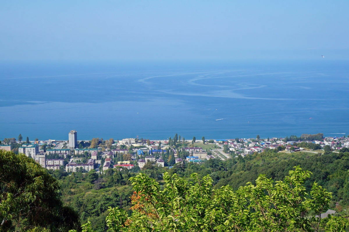 смотровая гагра фото