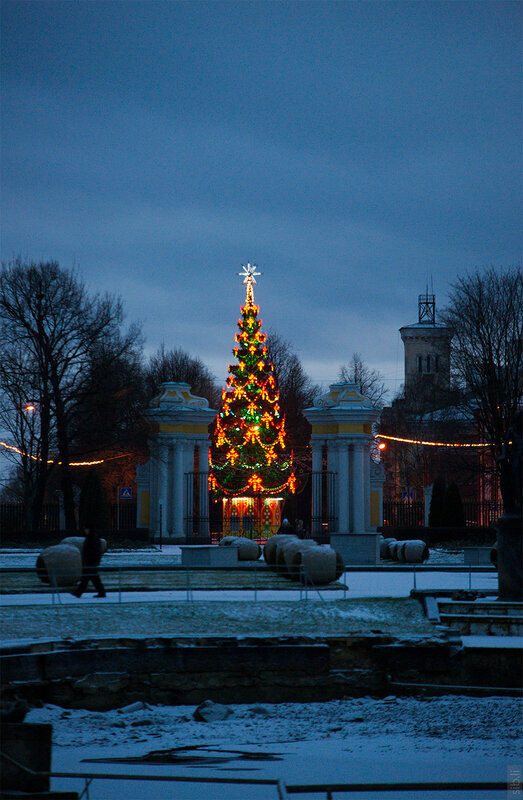 зимний петергоф в санкт-петербурге фото