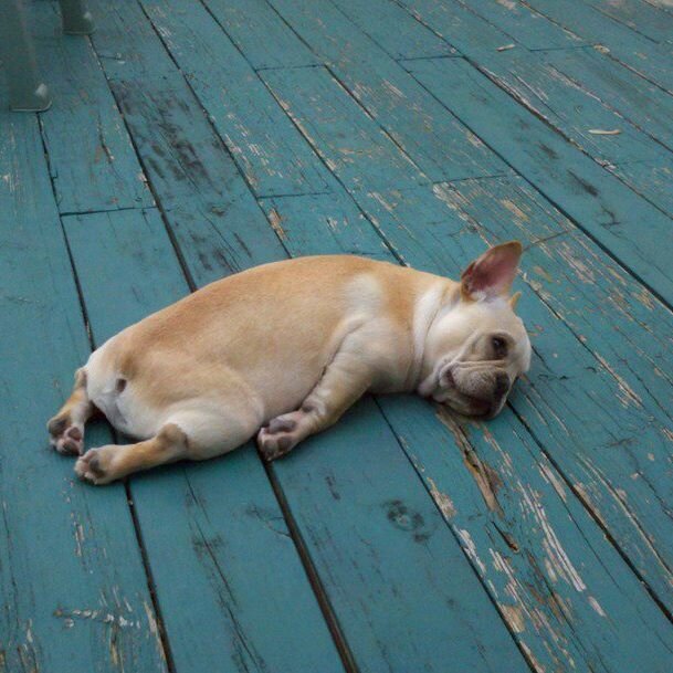 �������� ������ �������� ���������� ��������