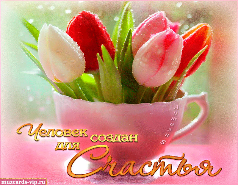 �������� �������� ������ ���