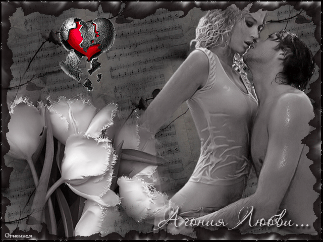 ����������, �������� ������� � �������