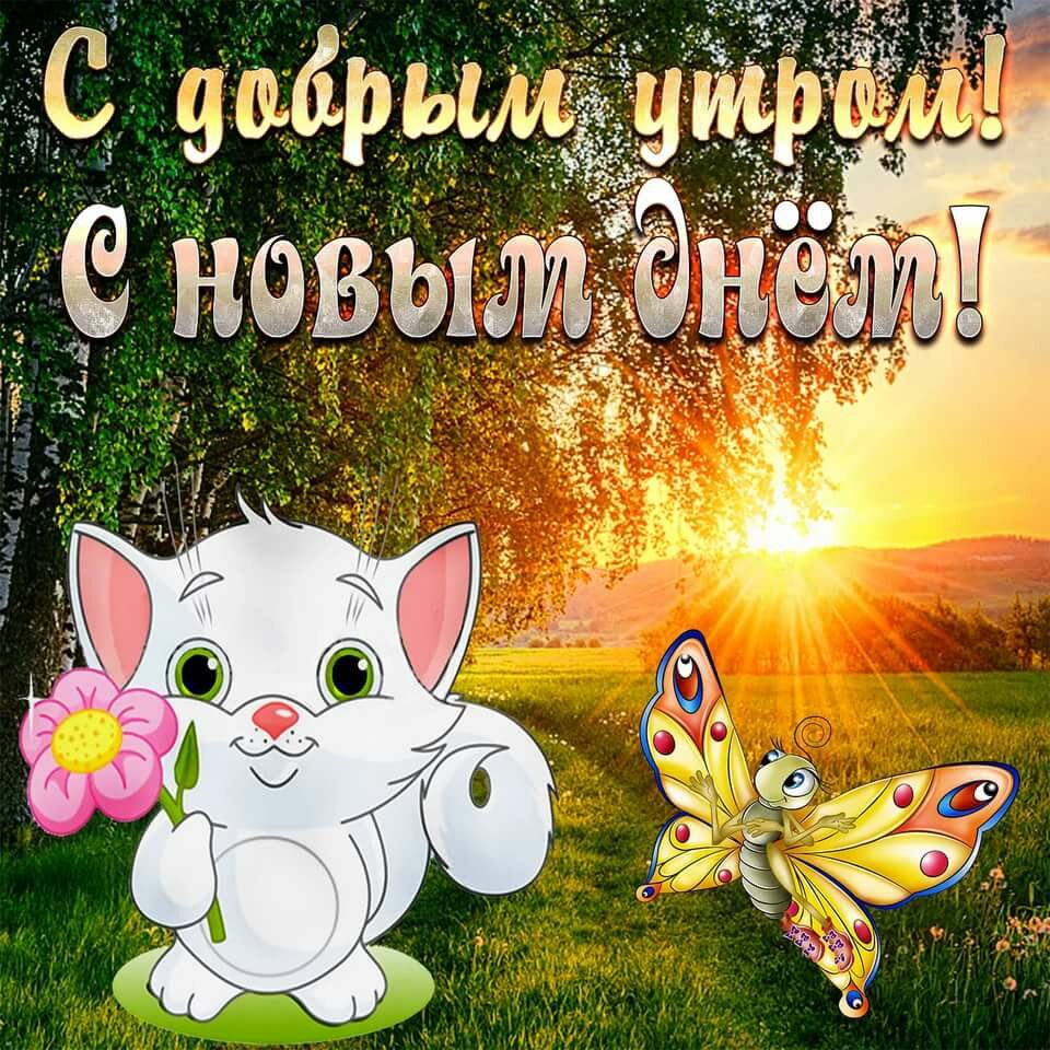 �������� ������ ���� �� ������� ��������, ����� ��������� �������