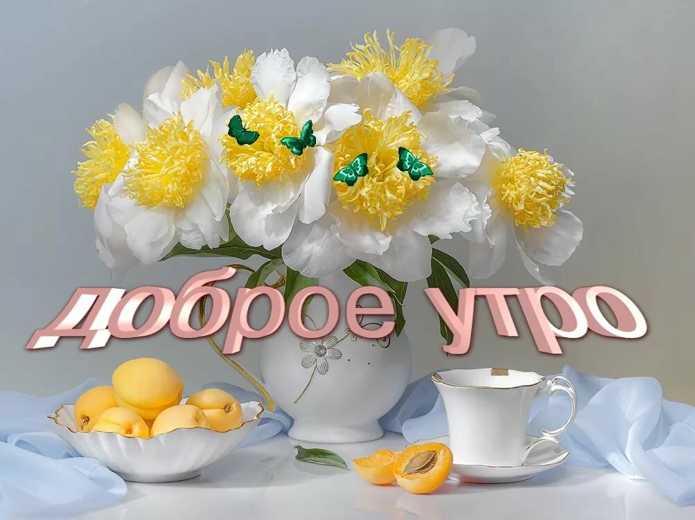 Красивые открытки открытки с добрым утром