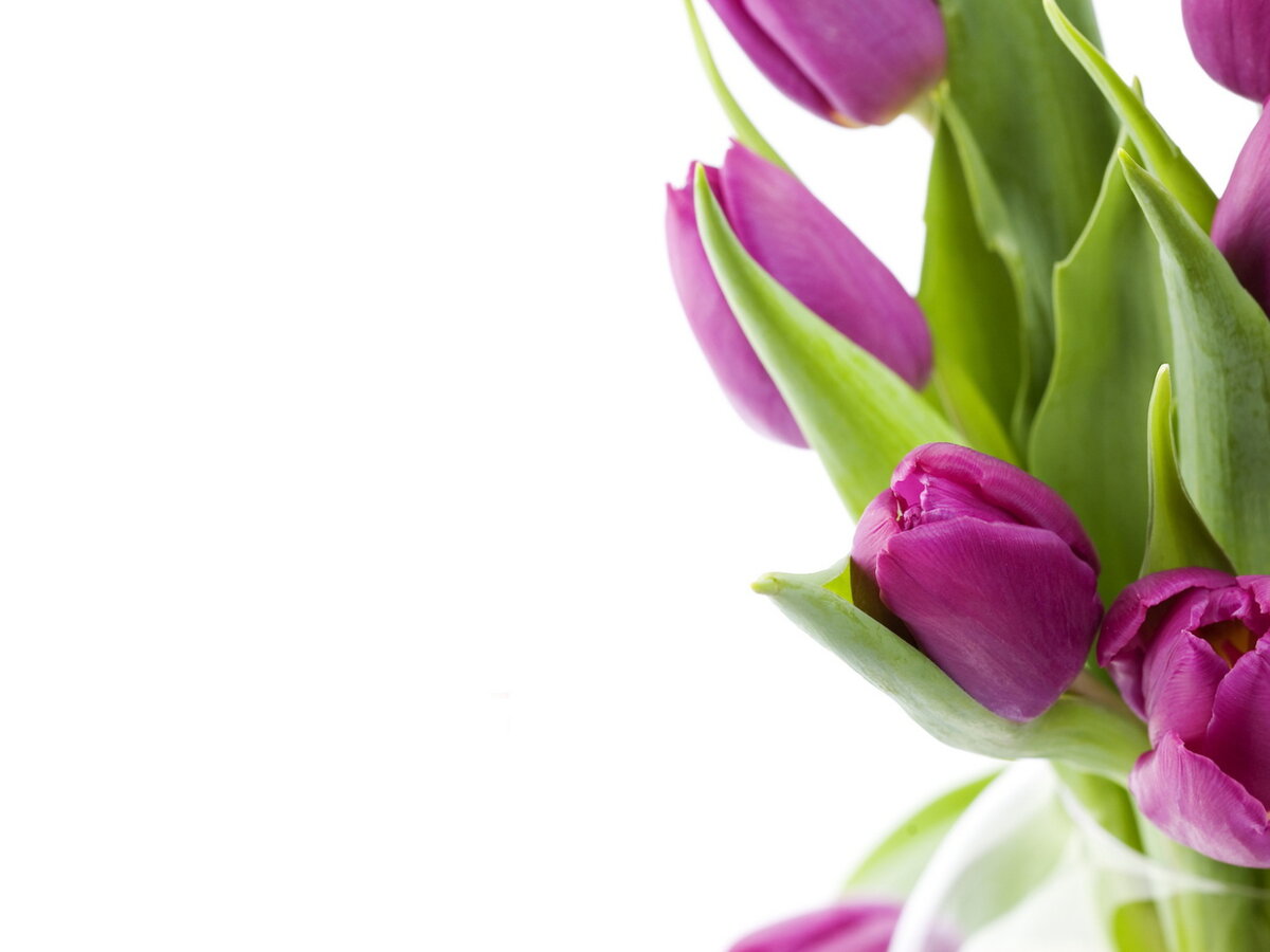 ��������� �� �������� 8 ����� �����, ��������