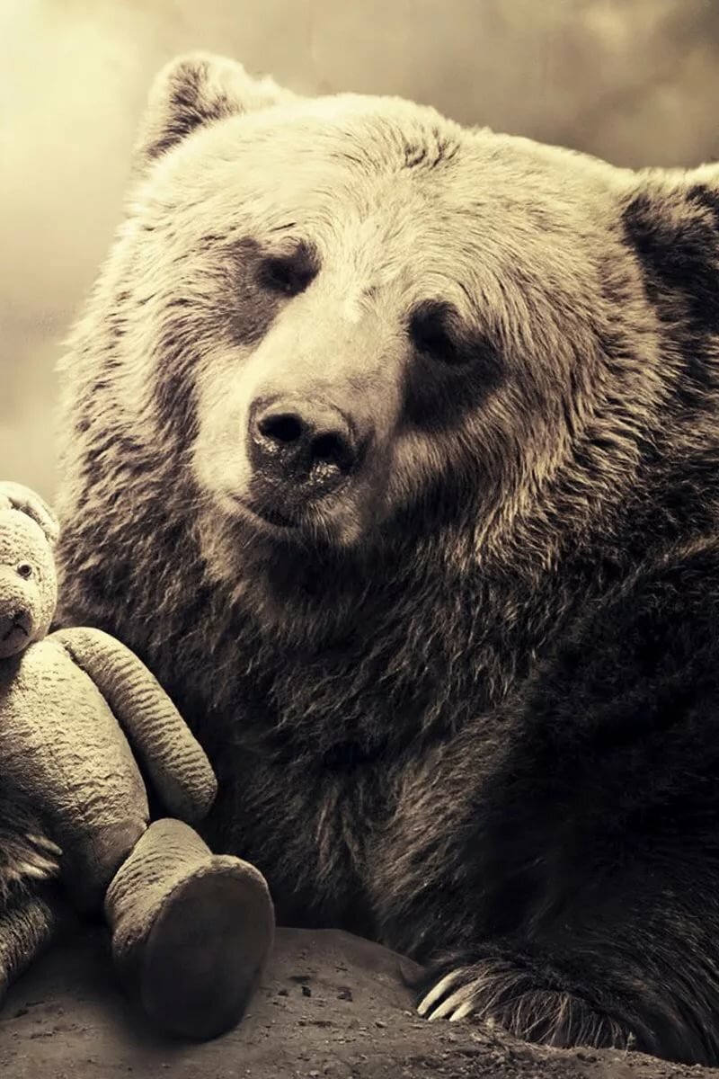 ���������� �������� �������� �� ���, ��� �������� ����