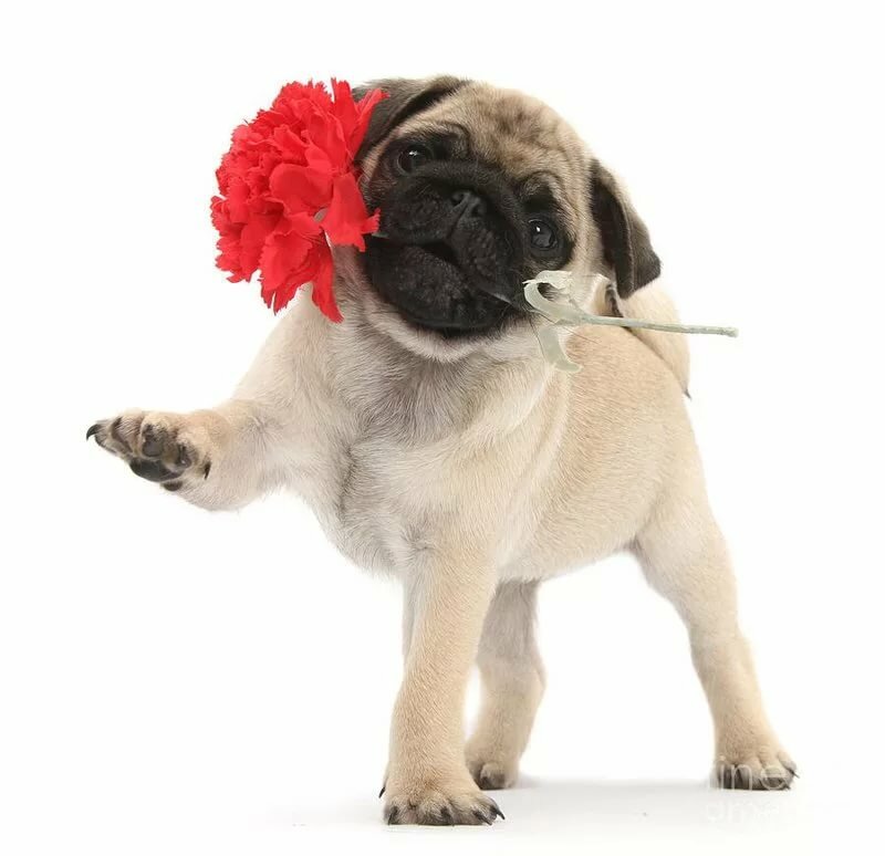 ��������������� �������� � ������