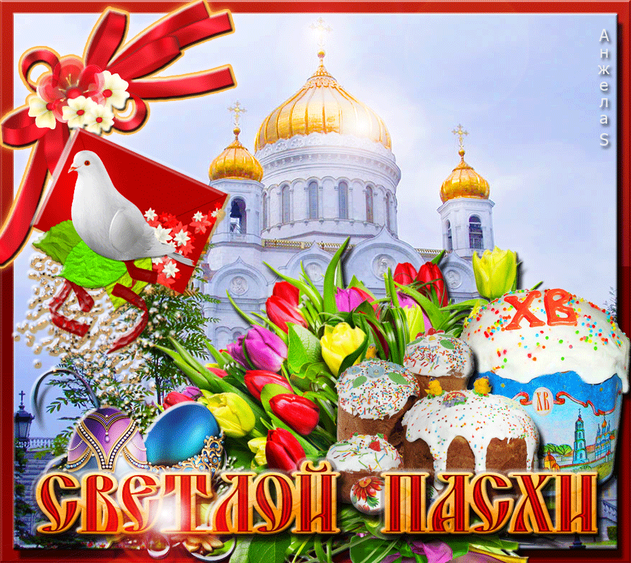 ������������ �������� �� �����