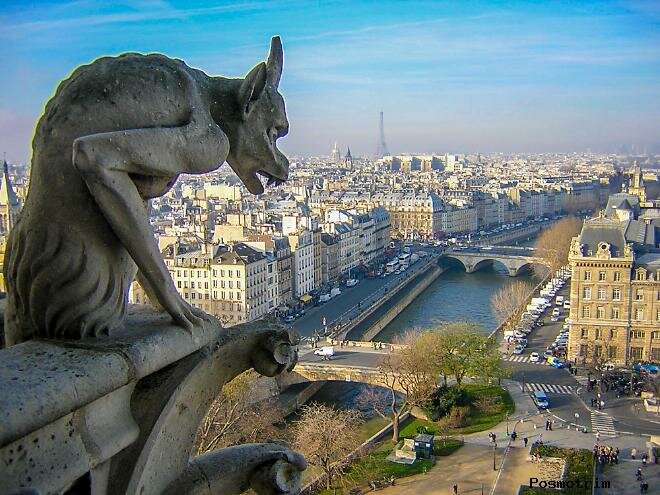 собор парижской богоматери гаргульи фото