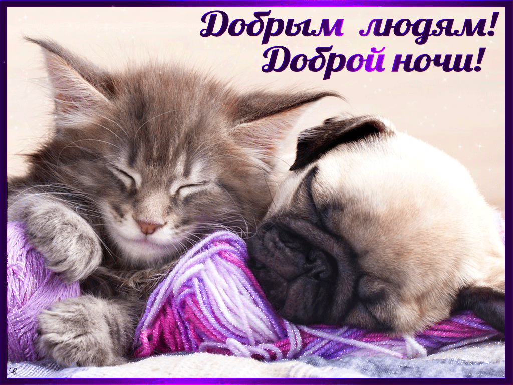 �������� � ���������� �������� ������ ����