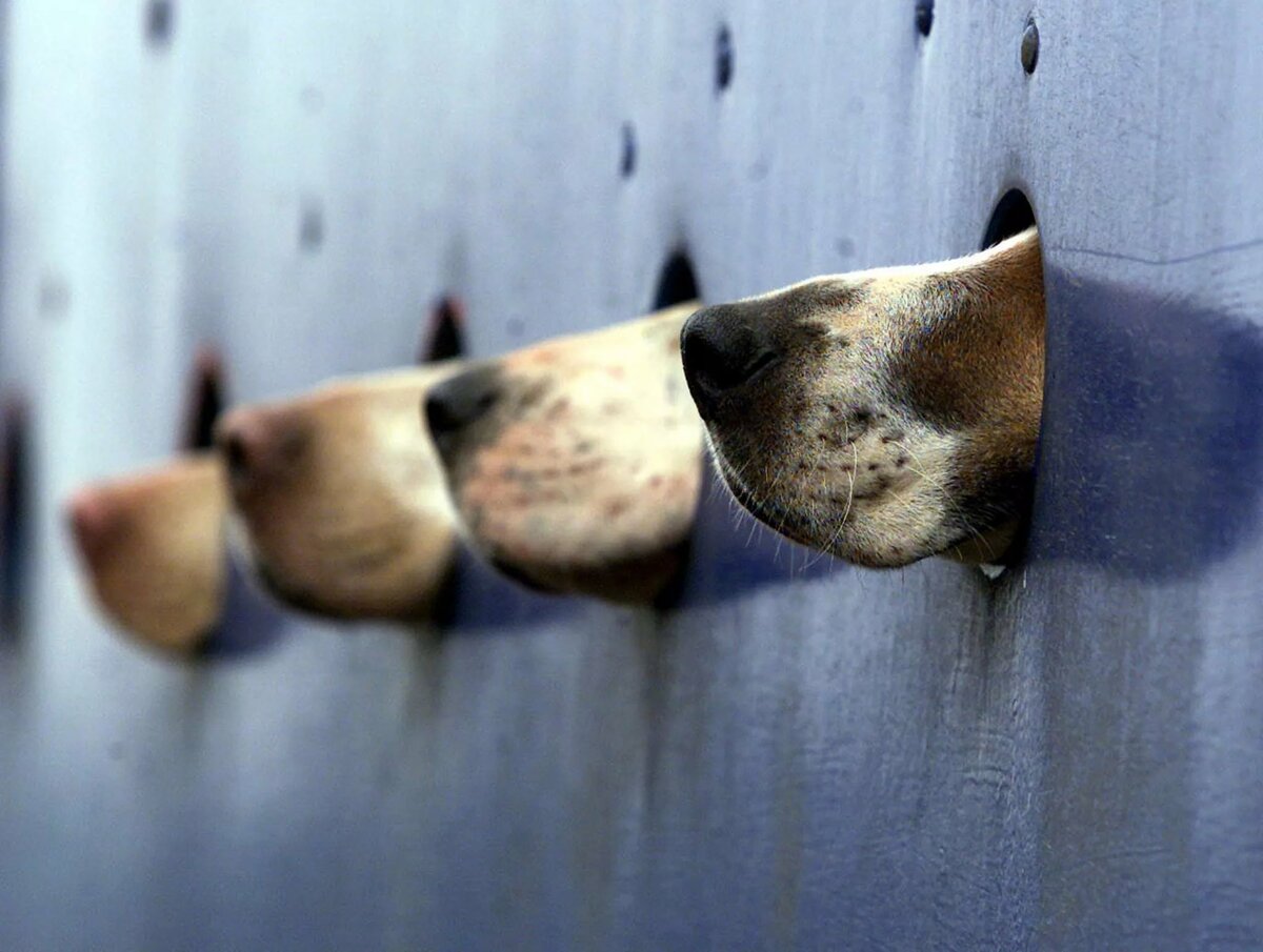 �������� � �������� ������, ����������� ���� ������