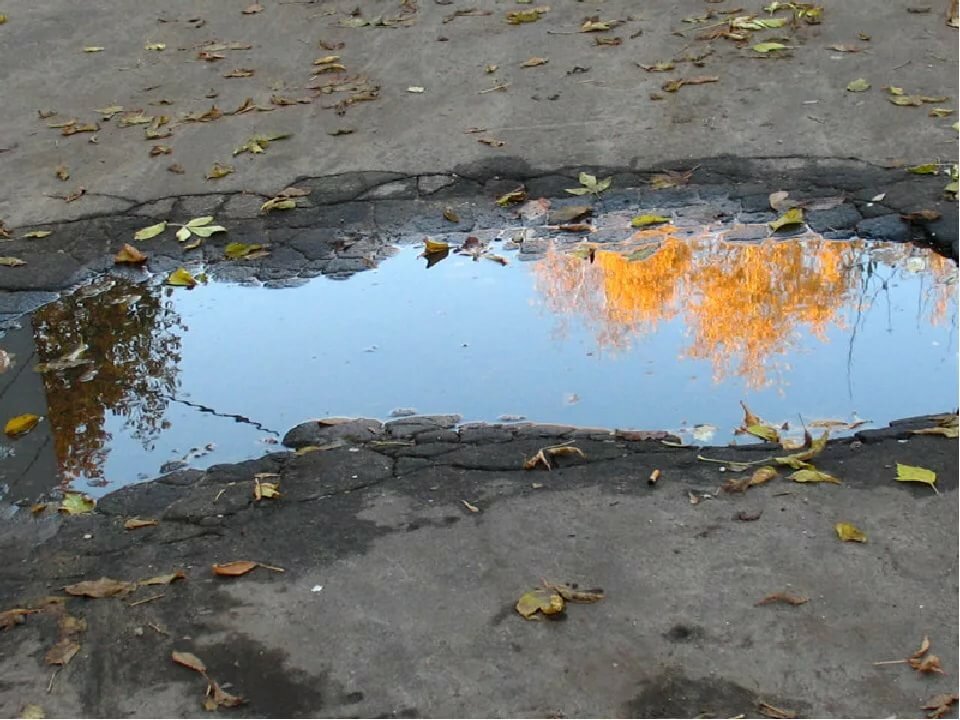 луж фото