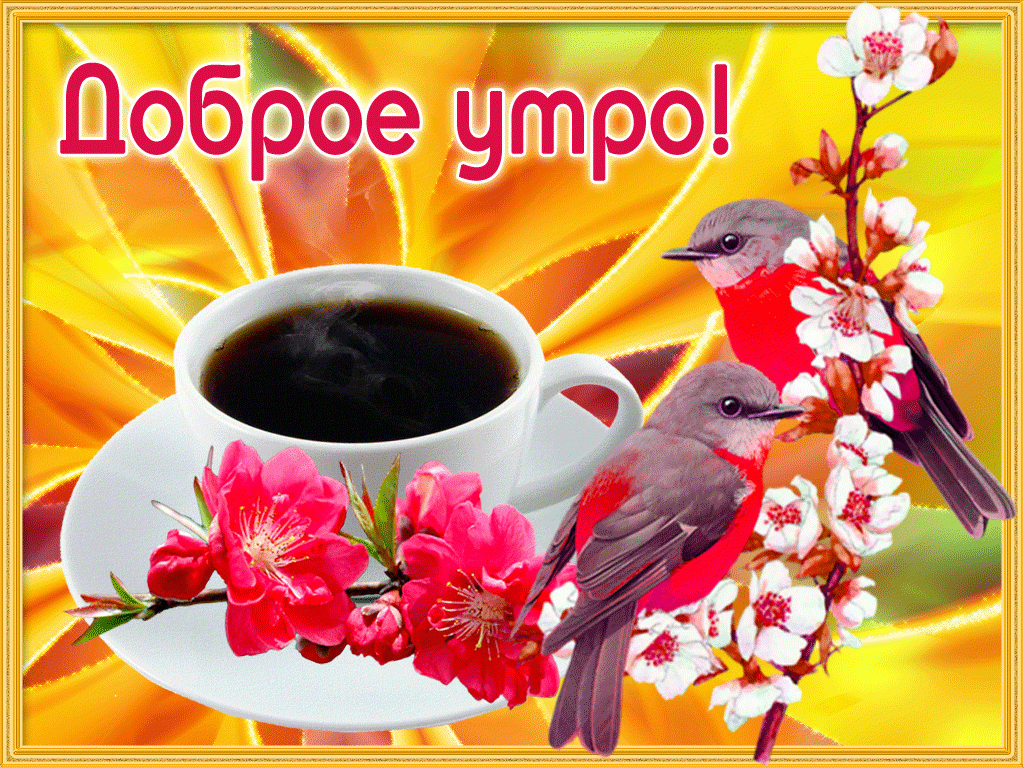 ����, ������������ �������� � ������ ����� ����