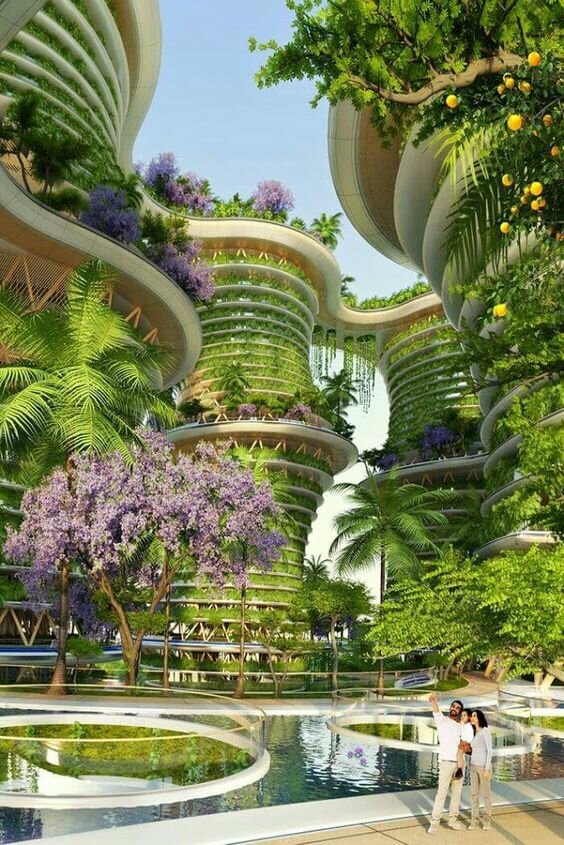 винсент каллебо архитектура фото