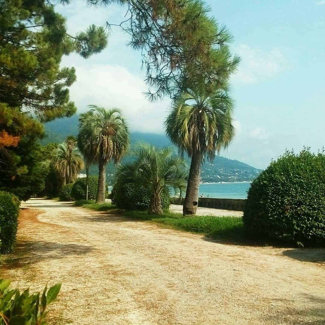 абхазия новая гагра фото
