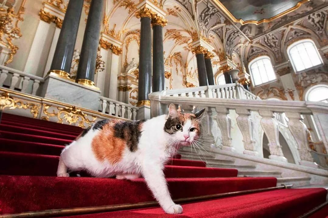 s1200