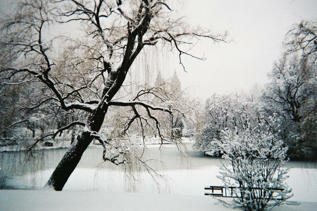 снег зима фото