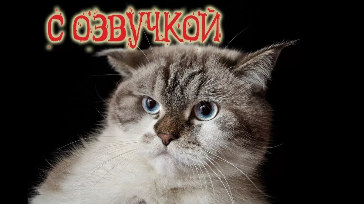 ������� �������� � ��������