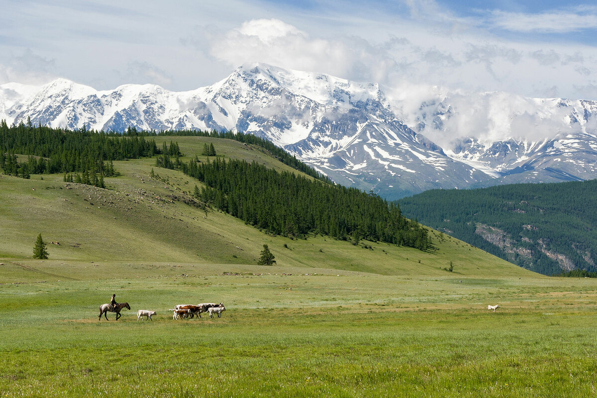северо чуйский хребет алтай фото