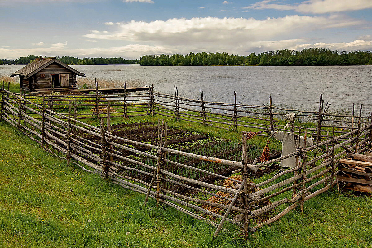 плетёный забор фото