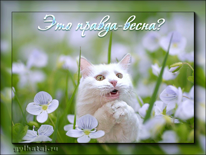 �������� � ������� ����� � ������ ����������