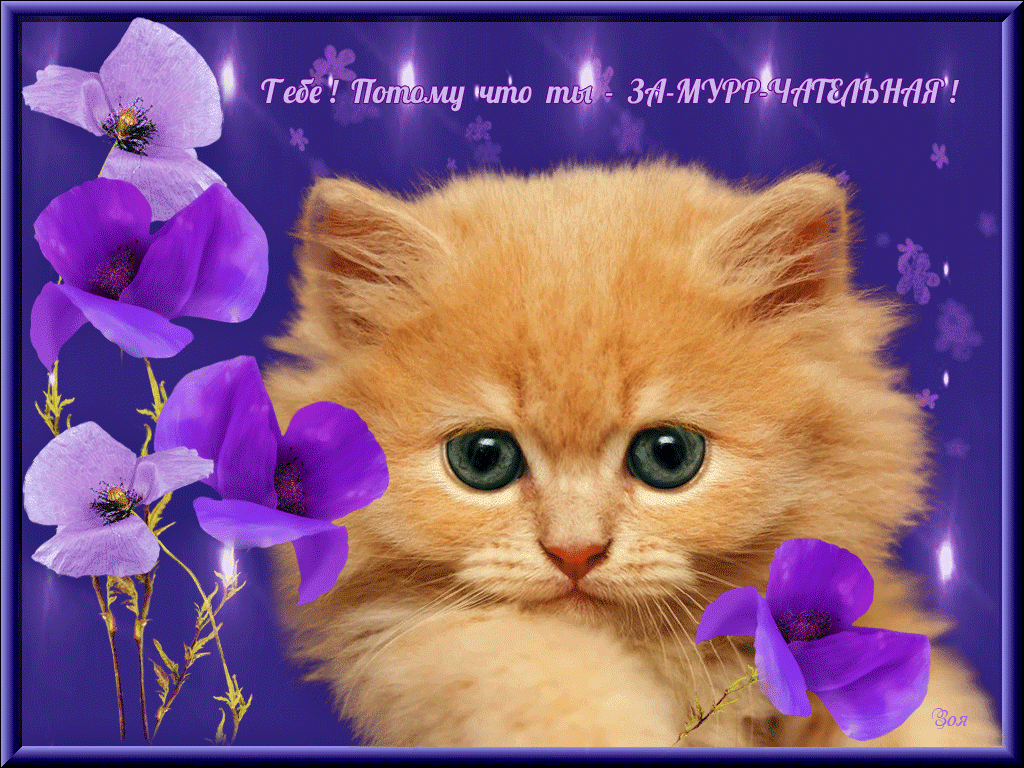 �� ��� ����������� ��������, ������ ������ ���