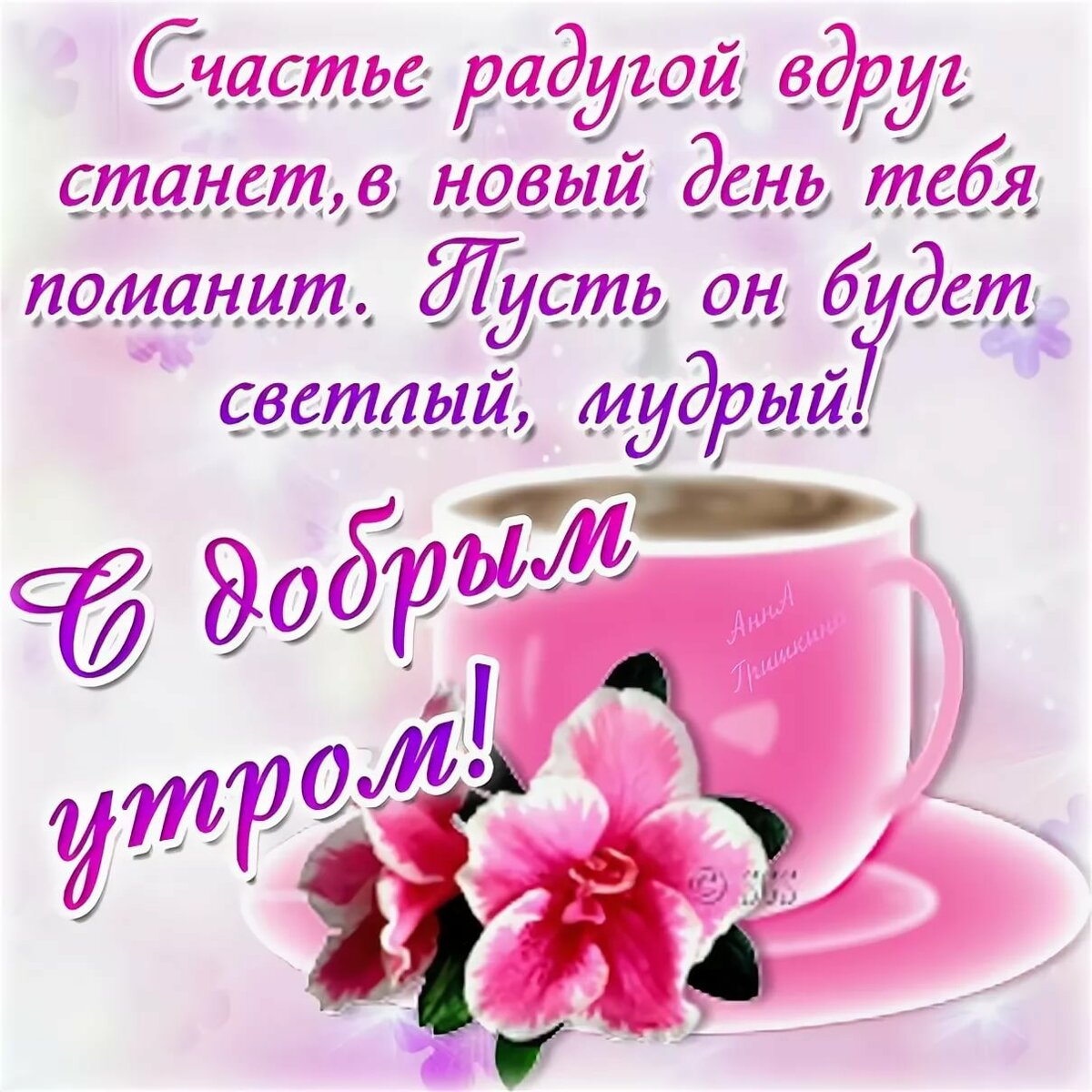 ����, �������� ��� ������ ���� �� �������