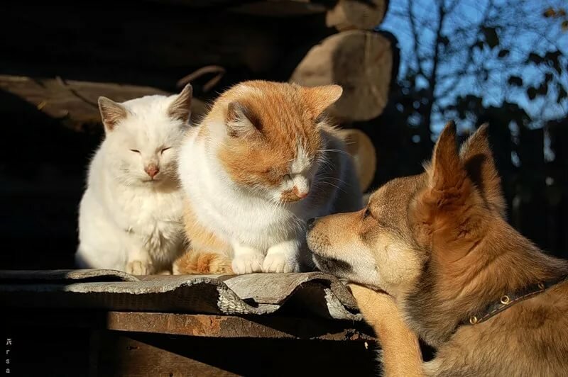 ������� �������� ��� ����� � ���������