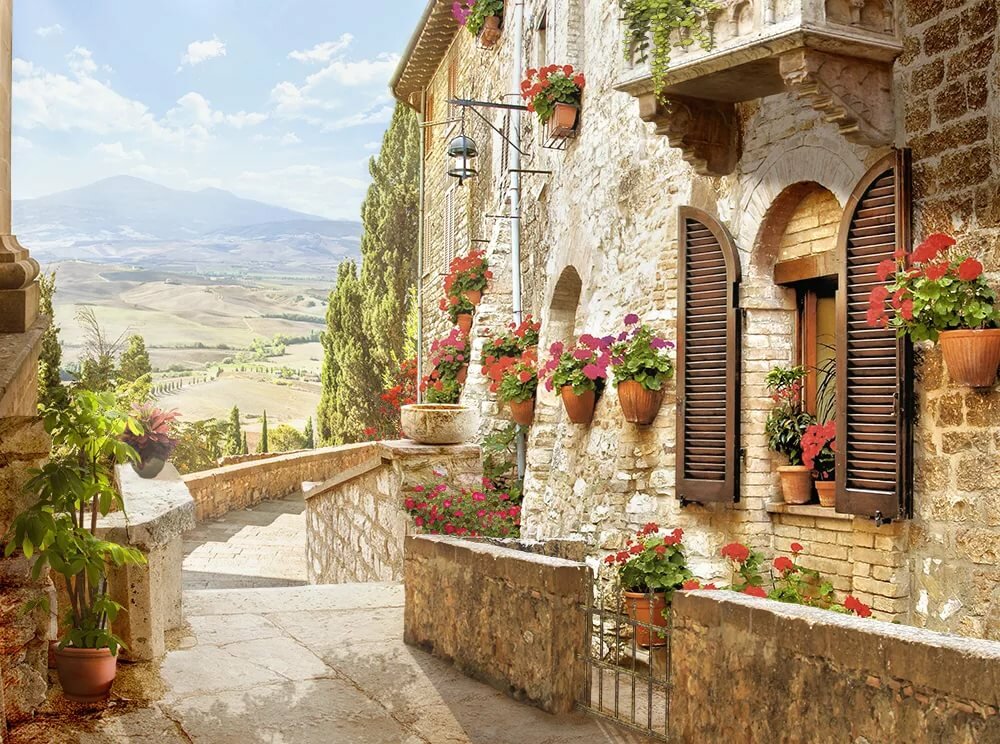 Stena Provence фото 13