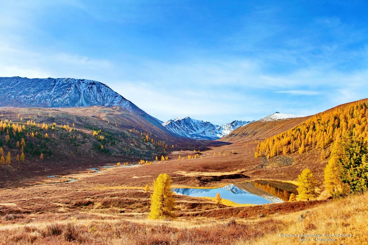 осень на алтае фото