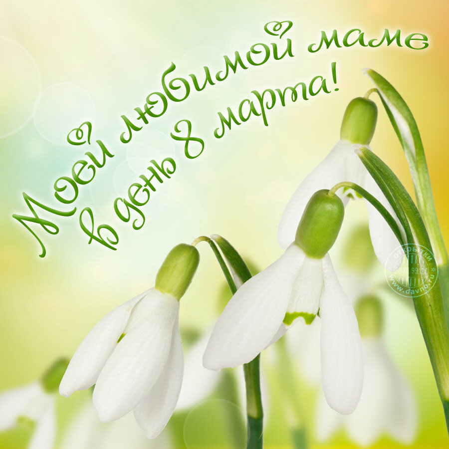 �������� � 8 ����� ���� ������� �������, ��� ������