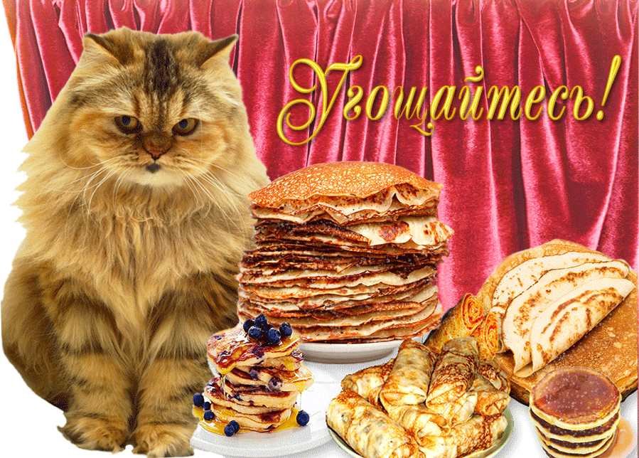 � ���������� �������� �������� ������������, �������� ���� �������