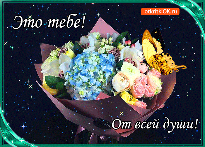 ���������� �� ���� ���� �������� �������