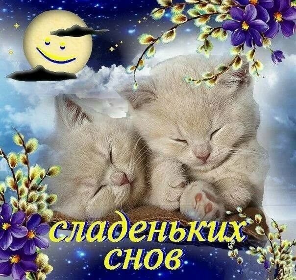 �������� ��������� ���� ������� ���� �������� ��������, �������� ����������