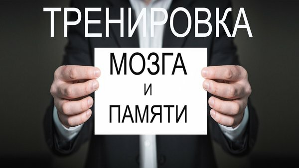 мозг память фото