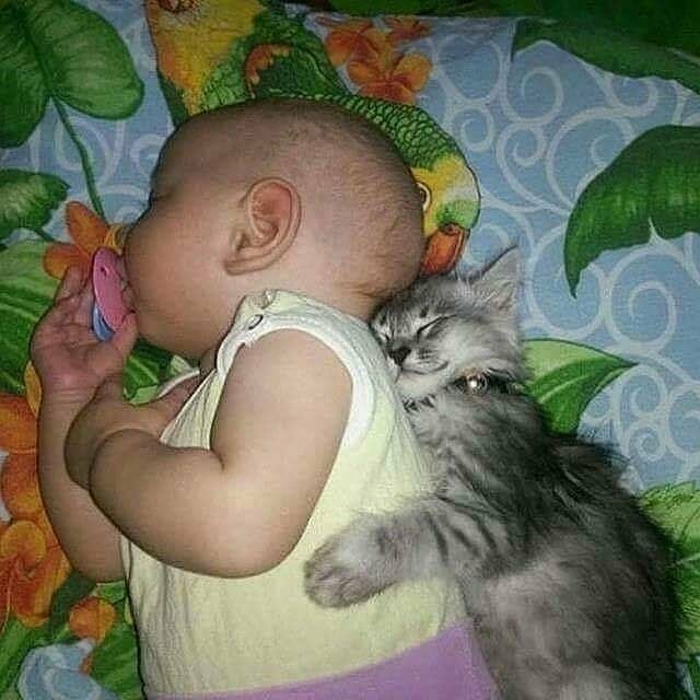 �����, �������� ���������� ������� � ��������� ��� �����