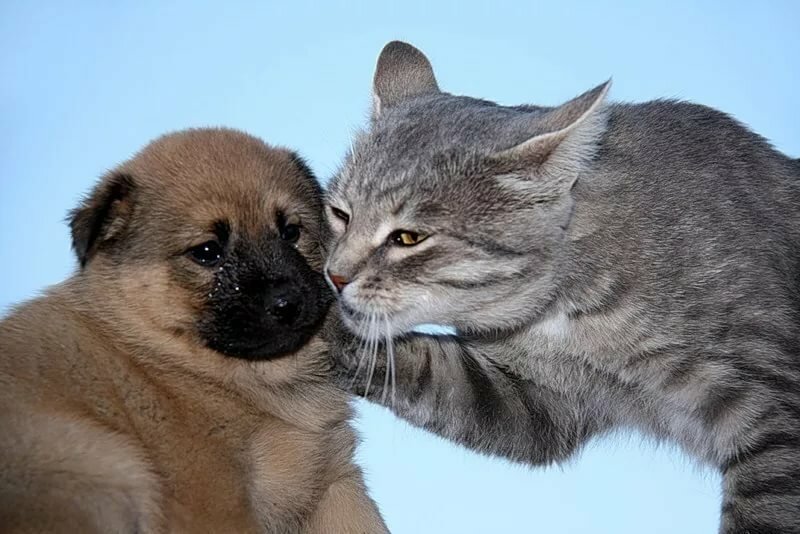 �������� � ��������� ���� ������