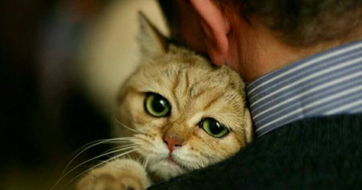 �������� �� �������� � �������